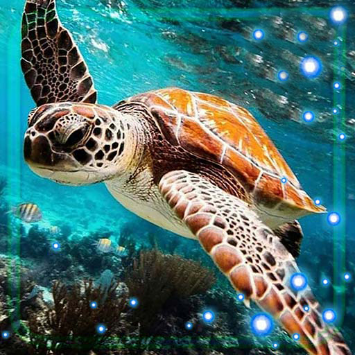 Turtles Live Wallpaper