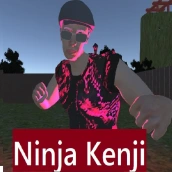 Ninja Kenji