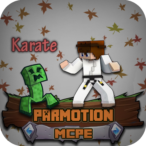 Karate Skin Minecraft