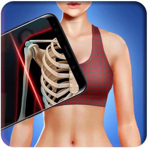 Xray Body Scanner - Full Body