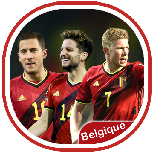 L'équipe de Belgique de footba