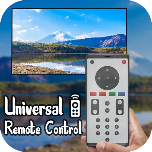 Universal TV Remote Control