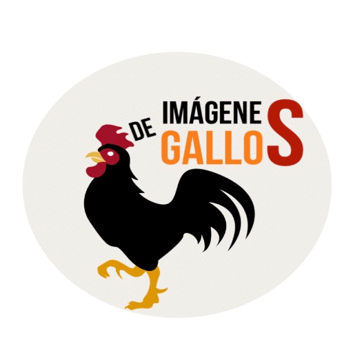 IMAGENES DE GALLOS