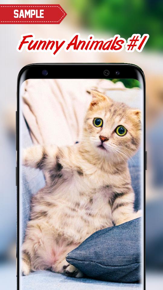 Скачать Funny Animals Pictures на ПК | Официальный представитель GameLoop