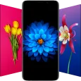 Flower Wallpapers - Flowrify