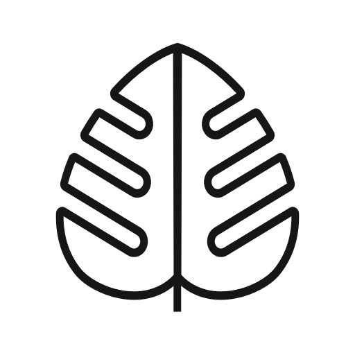 Monstera - Plant guide