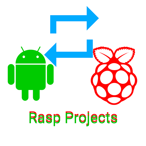 Rasp Projects