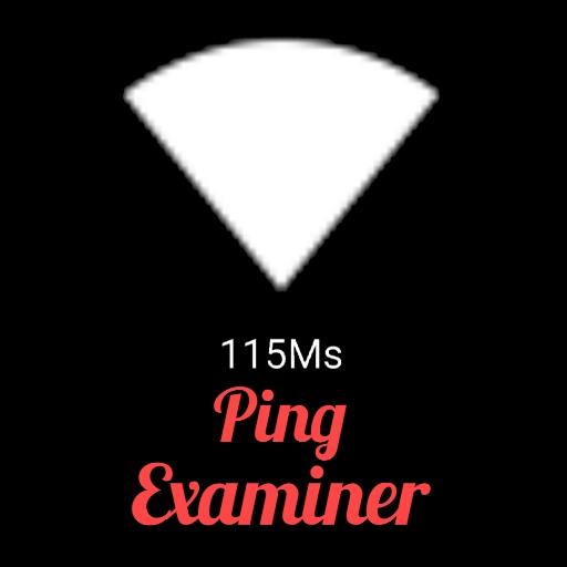 Ping Examiner