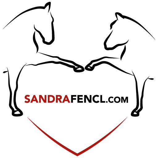 Pferdewissen Sandra Fencl