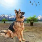 Mountain Dog Sim : Guard Dog