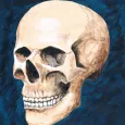 Skully Portrait Poser