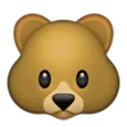 Urso Peludo
