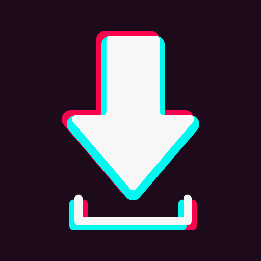 SnapTok: TT Video Downloader