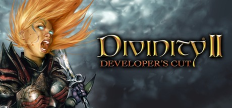 Divinity II: Developer's Cut