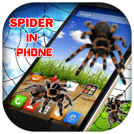 3D Spider in Phone prank