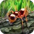Ants Survival Simulator - go t