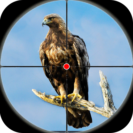 狩獵遊戲鳥類狩獵狙擊手射擊