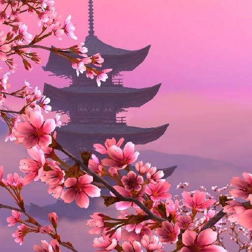 Kertas Dinding Sakura Jepun