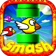 Fun Birds Game - Angry Smash