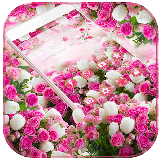 Rosa rose flor tema Pink Rose Flower