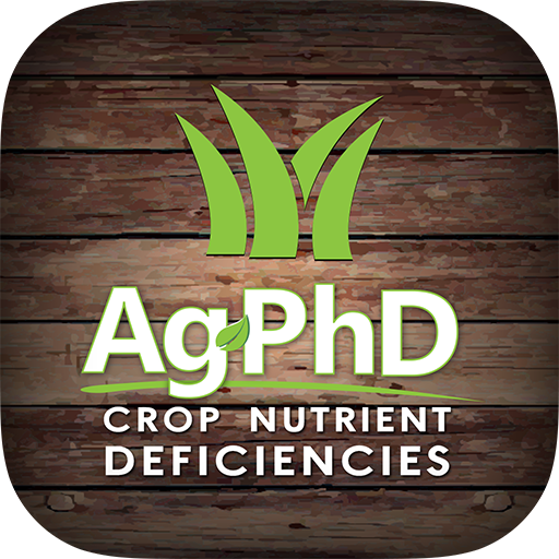 Ag PhD Deficiencies