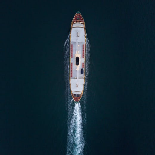 Draiving the ship