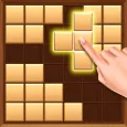 wood block - block puzzle game