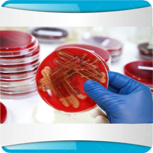 LA BACTÉRIOLOGIE MÉDICALE