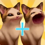 Sự tiến hóa của mèo : Popcat