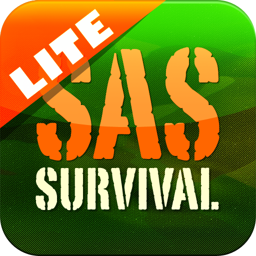 SAS Survival Guide - Lite