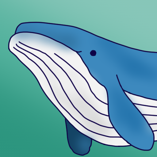 Whale Follow