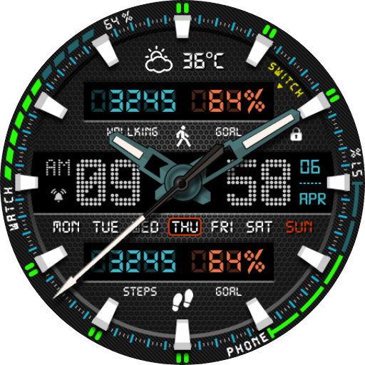 Digital Monster Watch Face