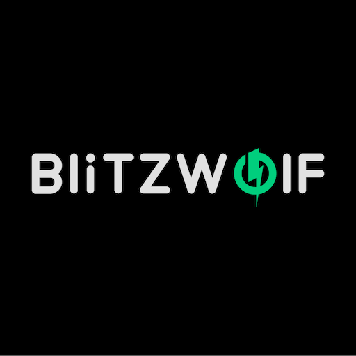 BlitzWolf PTZ