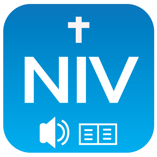 NIV Audio Bible: book