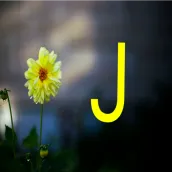 صور حرف J - خلفيات حرف j