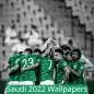 خلفيات المنتخب السعودي