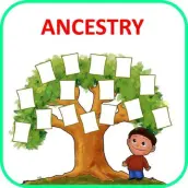 Ancestry - Family Tree