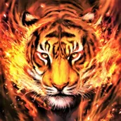 Tiger Wallpaper HD & 4K