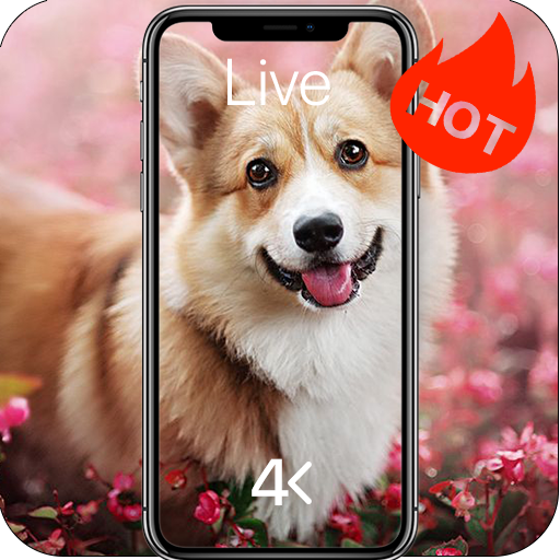 Dog Live Wallpaper 4K