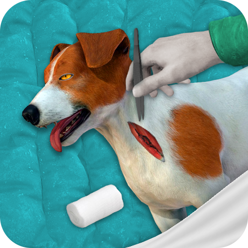 Pet Surgeon simulator:Animal Hospital surgery game