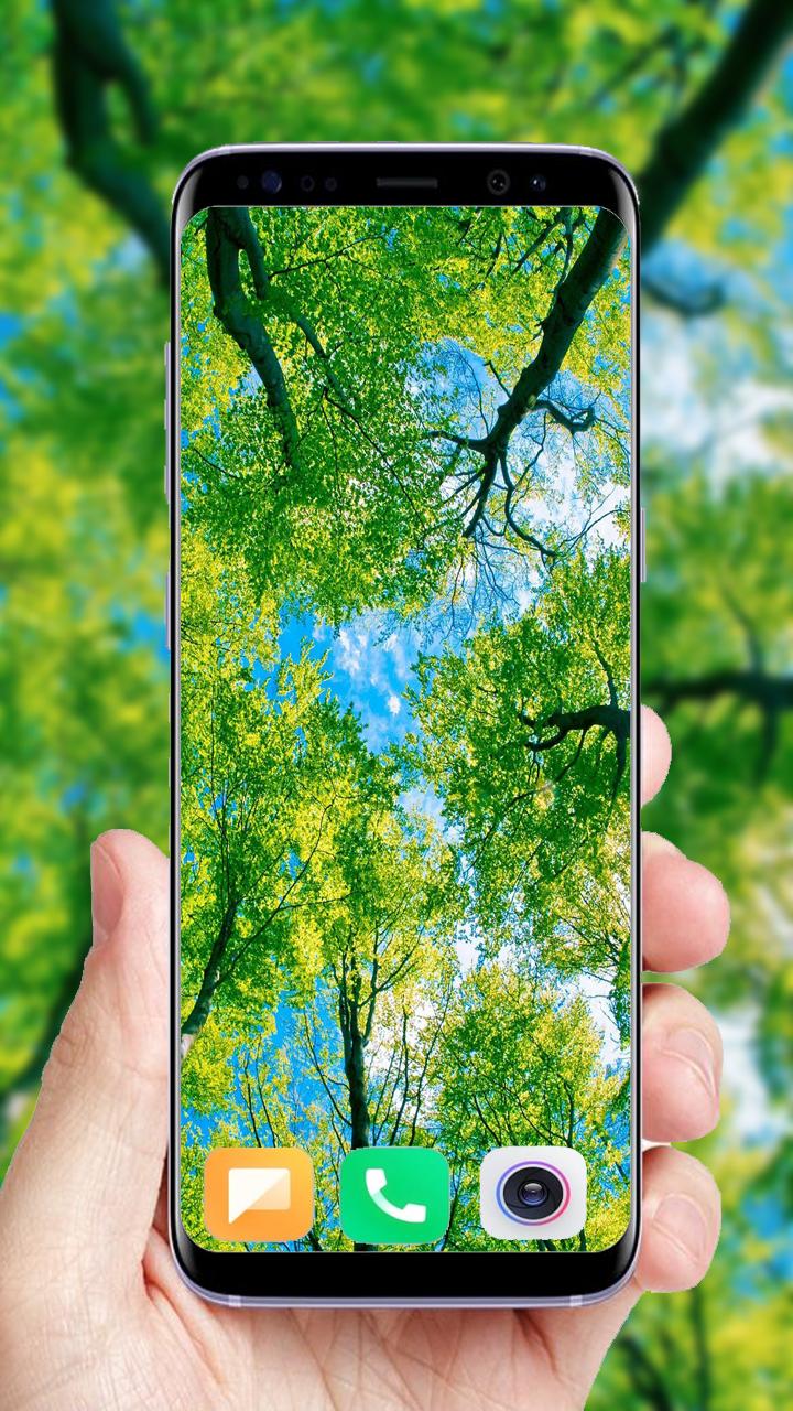 Download 500+Green Tree Wallpaper android on PC