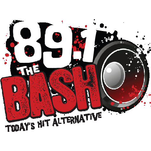 89.1 The Bash