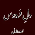 Dil-e-Firdous Romantic Novel