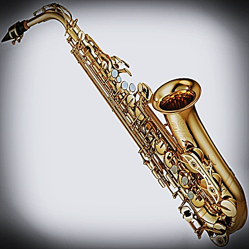 Virtual Saxophone