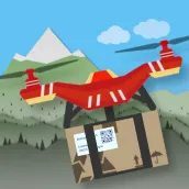 Drone Delivery 2D