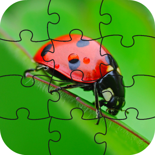 Ladybug Puzzle Game