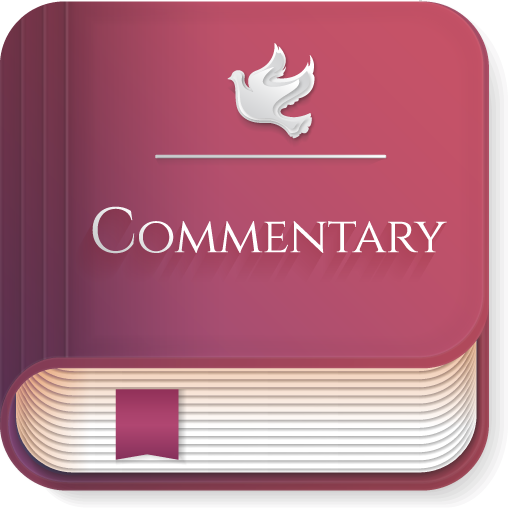 Bible Commentary Verse by Vers