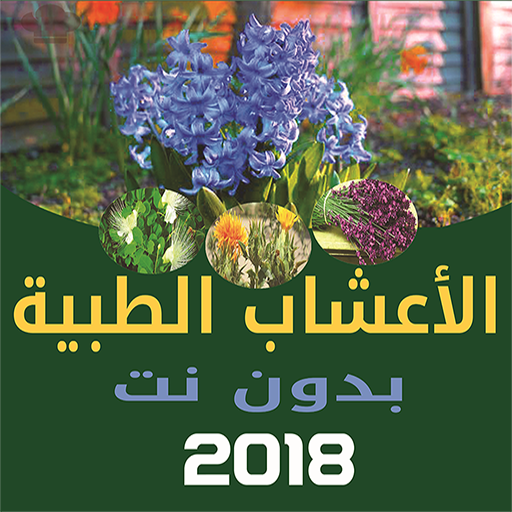 فوائد الأعشاب الطبية - بدون ان