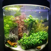 DIY Aquarium Design 5000+