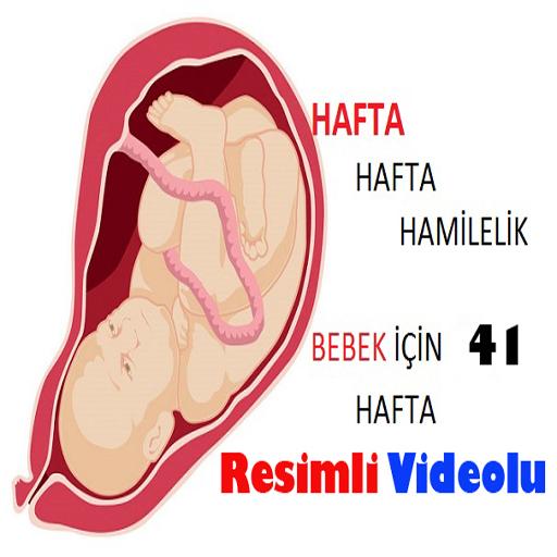 Hafta Hafta Gebelik  Hamilelik